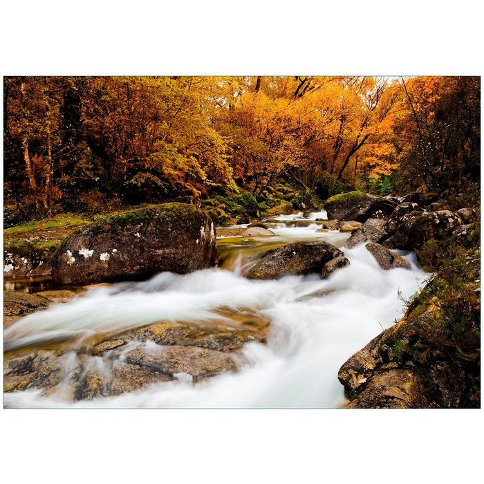 Wallario Vliestapete Fließender Bach im Herbstwald Seidenmatte Oberfläche hochwertiger Digitaldruck in verschiedenen Größen erhältlich