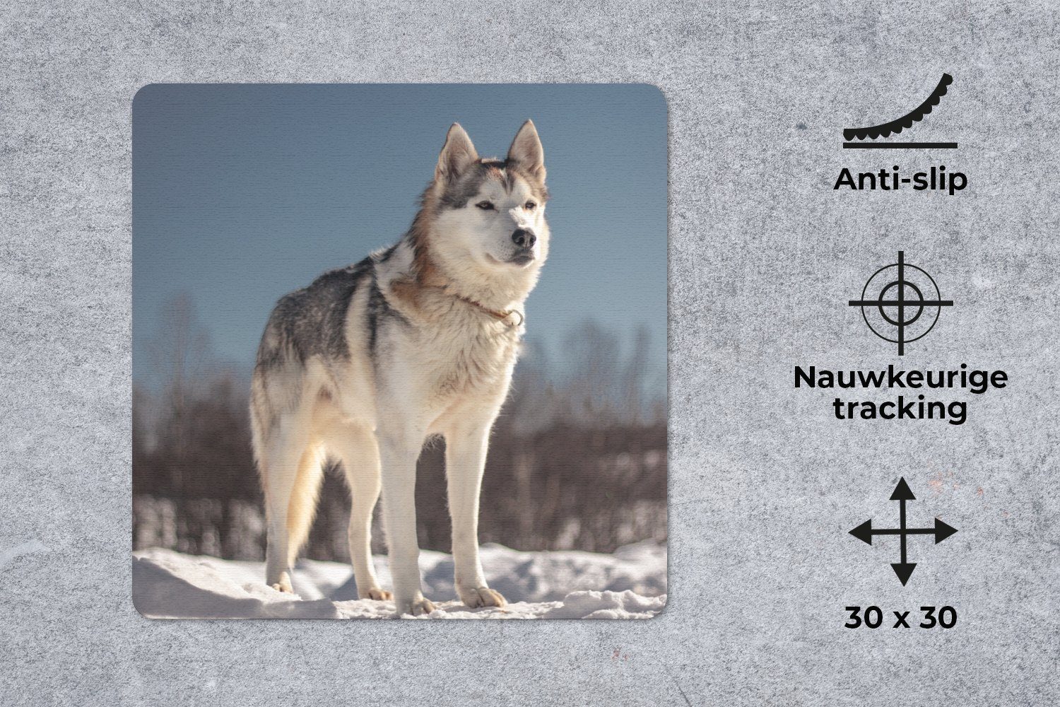 MuchoWow Mauspad Husky im Schnee (1-St), Mauspad, Büro Zubehör, Dekoration, Desk Mat, 30x30 cm