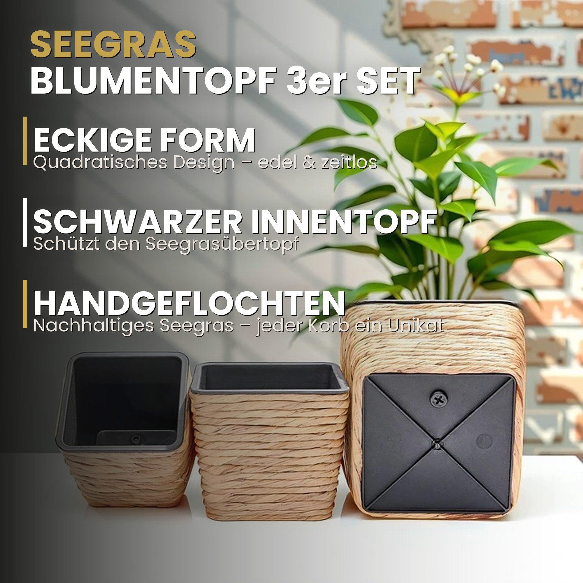 INtrenDU Blumentopf Seegras Eckig 3er Set mit Innentopf (Schwarz – Pflanzkorb Geflochten Uebertopf Boho Deko, Pflanztopf Quadratisch 3 Groessen fuer Zimmerpflanzen)