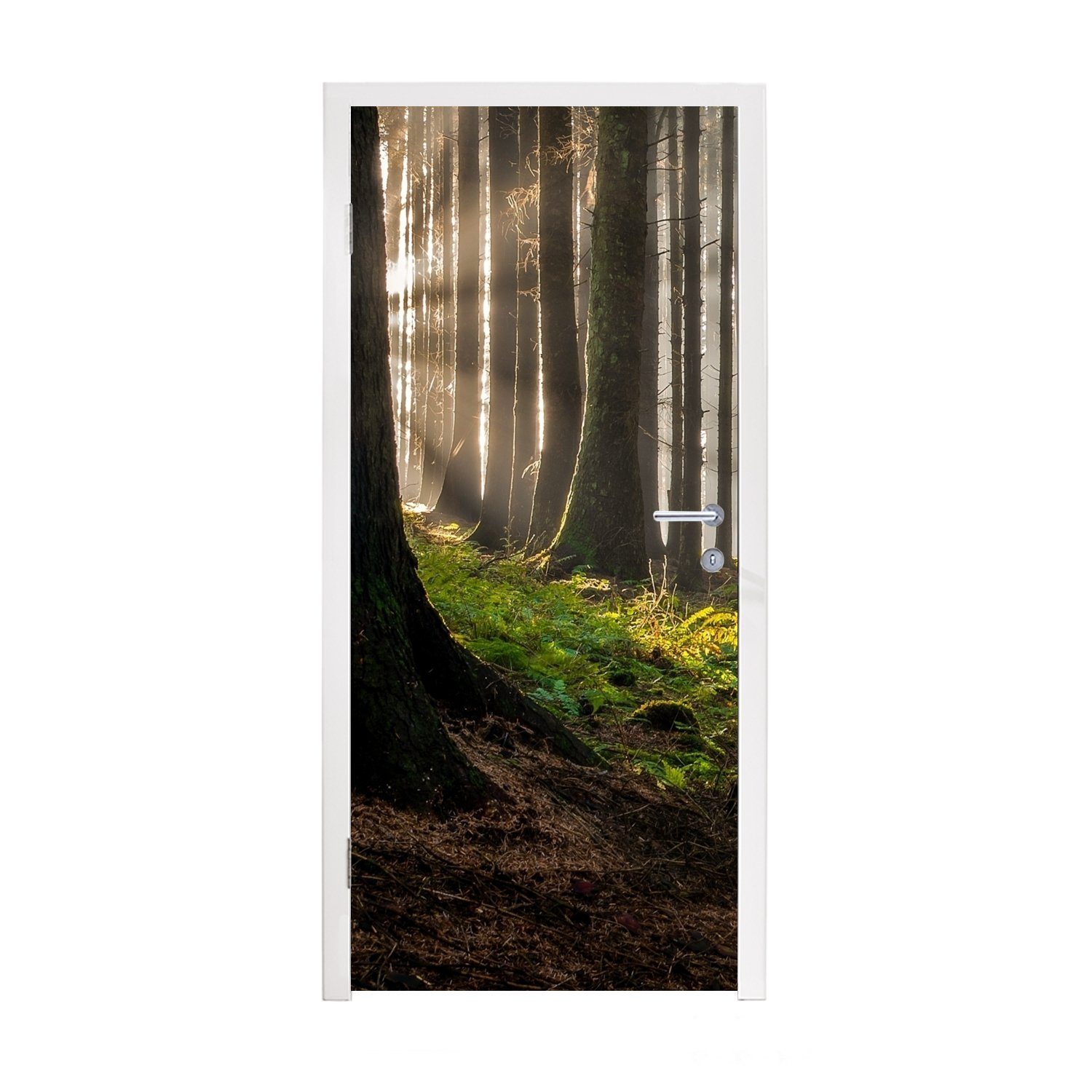 MuchoWow Türtapete Sonne - Äste - Bäume - Wald - Natur, Matt, bedruckt, (1 St), Fototapete für Tür, Türaufkleber, 75x205 cm