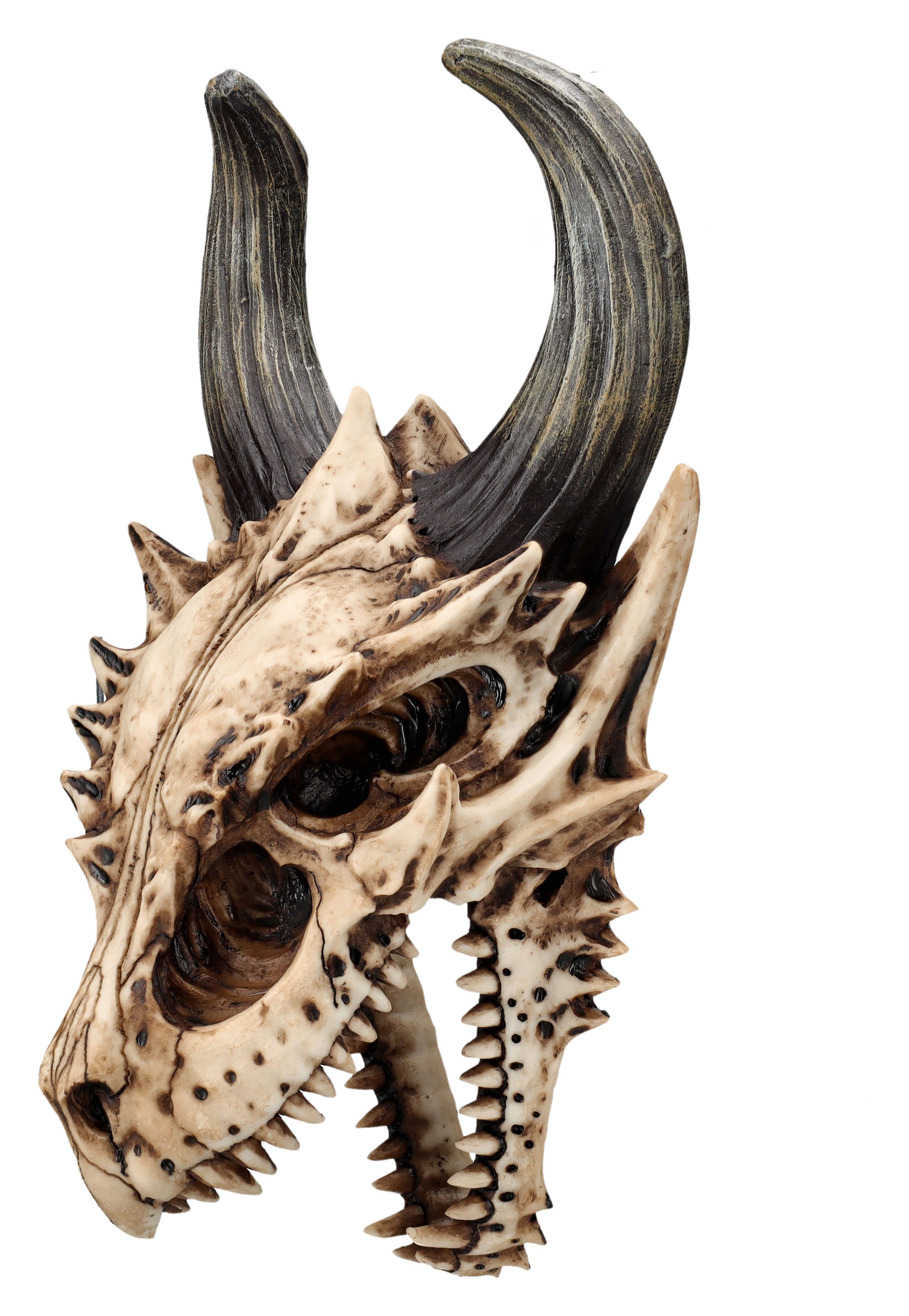 Wanddekoobjekt Totenkopf Wanddeko - Fieser Drachen Schädel - Fantasy Drachenkopf Deko