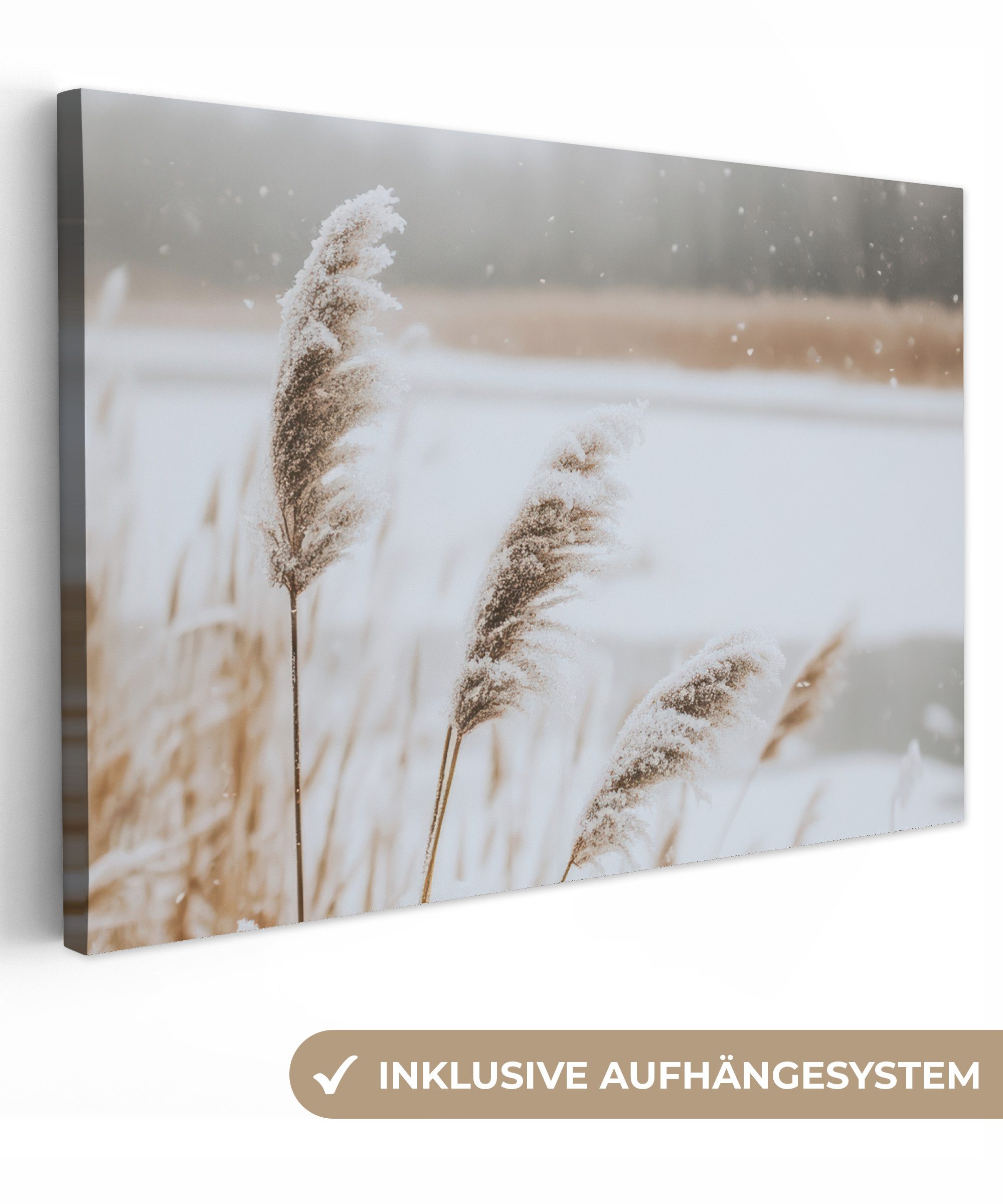 OneMillionCanvasses® Leinwandbild Schilf - See - Winter - Natur - Schnee - günstig online kaufen