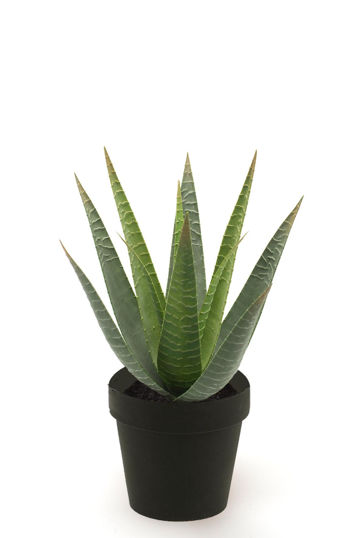 Künstliche Zimmerpflanze Topfpflanze Aloe Vera, Emerald, Höhe 31 cm, Farbe: Grün