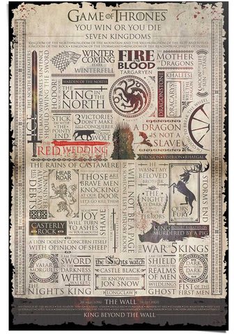 Reinders! Poster »Game of Thrones Infografik« (1...