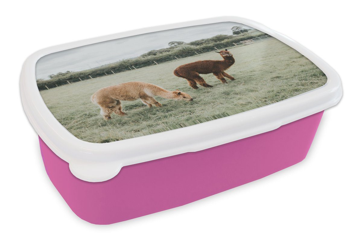 MuchoWow Lunchbox Alpakas - Tiere - Gras, Kunststoff, (2-tlg), Brotbox für Erwachsene, Brotdose Kinder, Snackbox, Mädchen, Kunststoff rosa