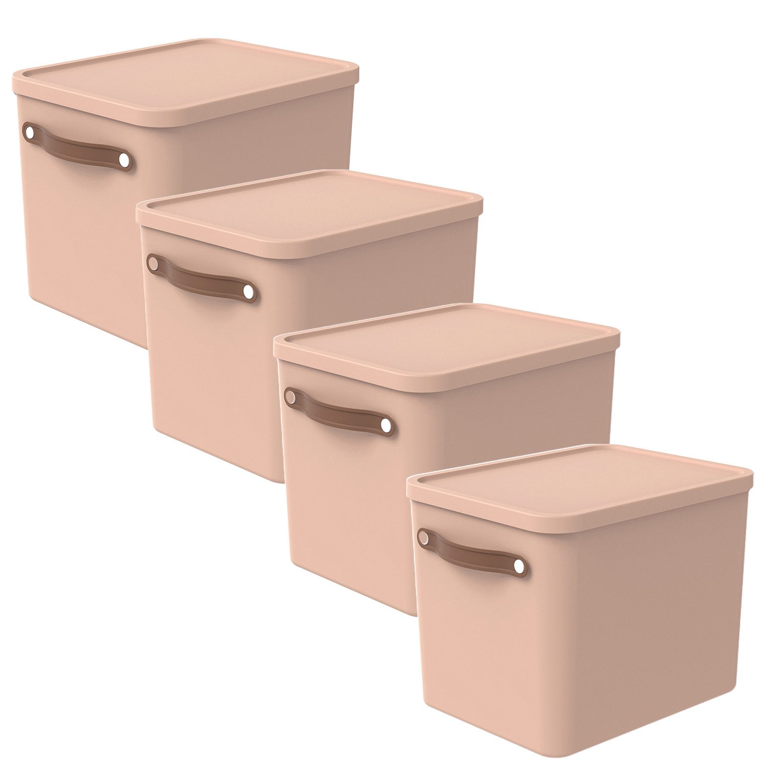 ROTHO Aufbewahrungsbox (Aufbewahrungsset, 3er-Set) günstig online kaufen