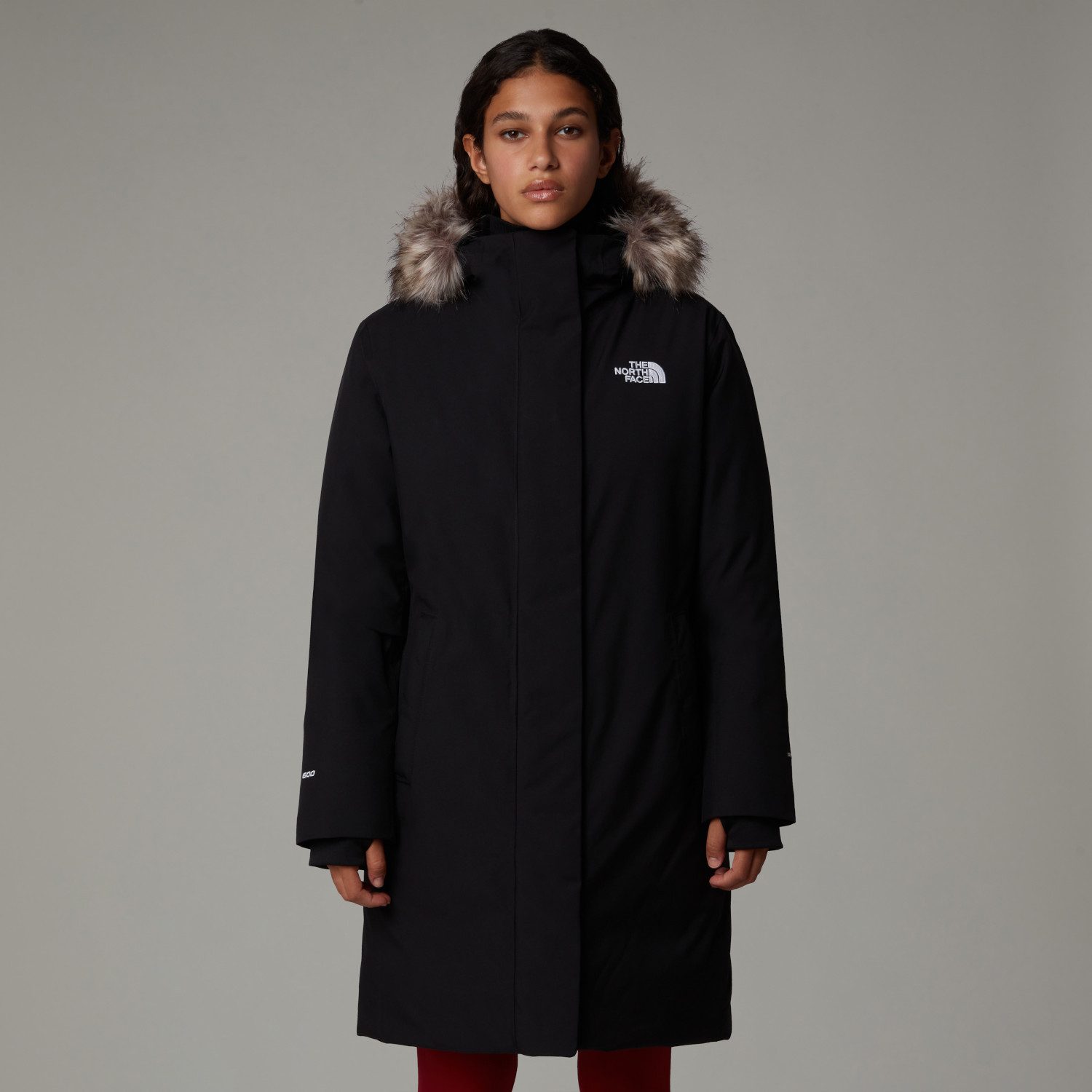 The North Face Winterjacke The North günstig online kaufen