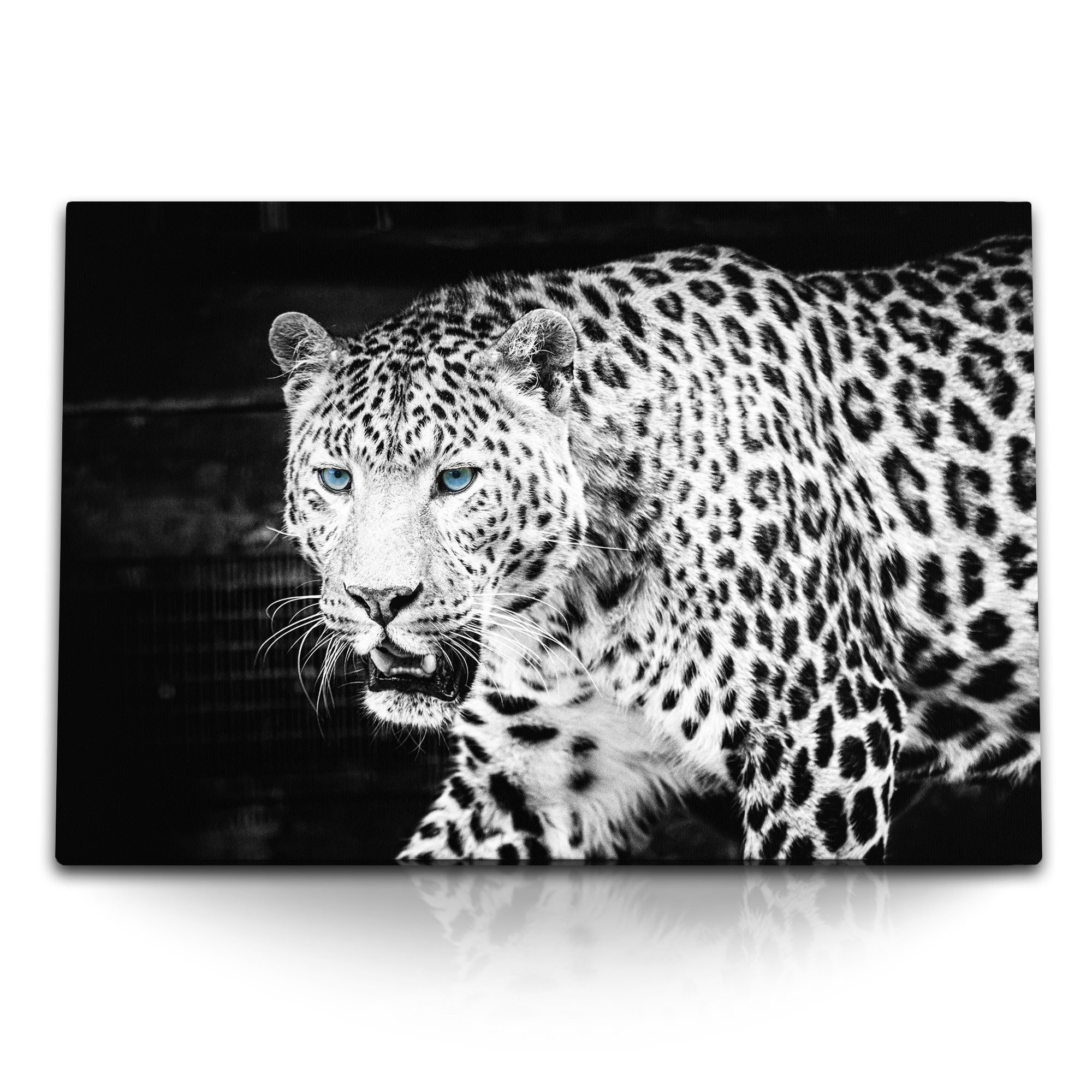 Leinwandbild 120x80cm Wandbild auf Leinwand Jaguar Raubtier Tierfotografie blaue Au