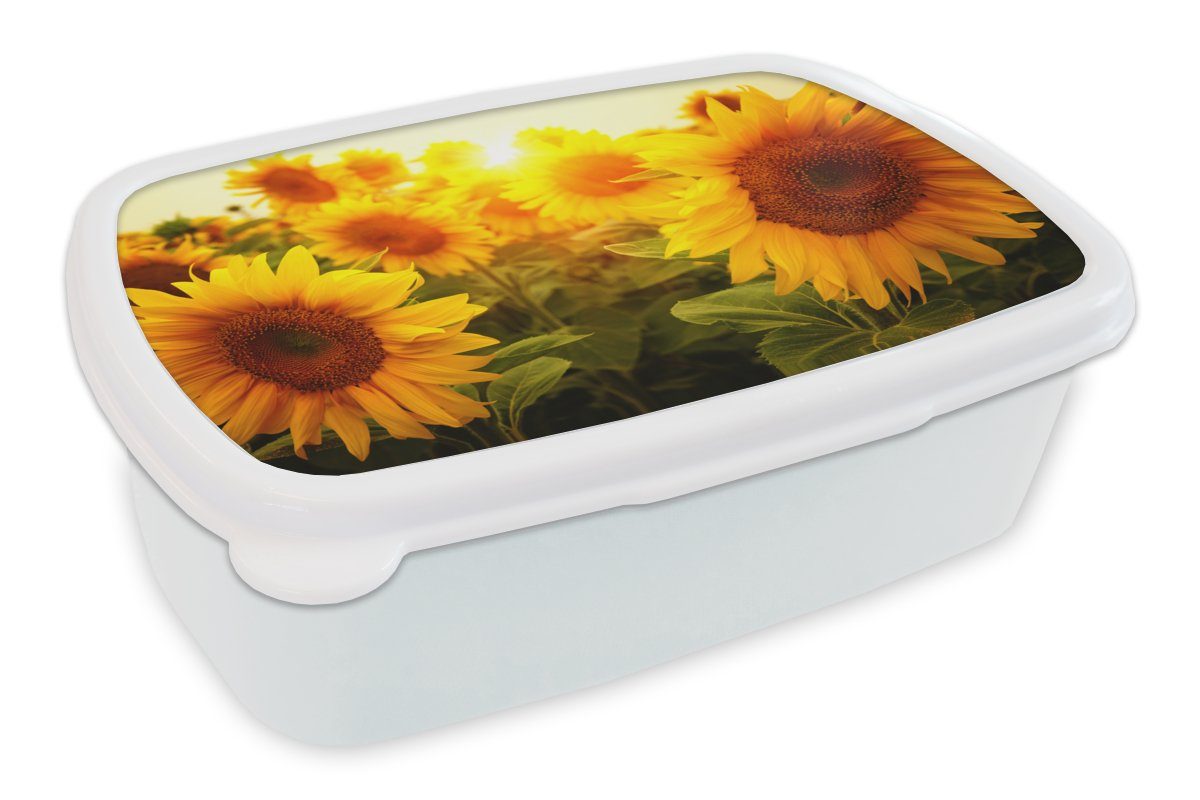 MuchoWow Lunchbox Sonnenblume - Gelb - Blumen - Sonne, Kunststoff, (2-tlg), Brotbox für Kinder und Erwachsene, Brotdose, für Jungs und Mädchen weiß