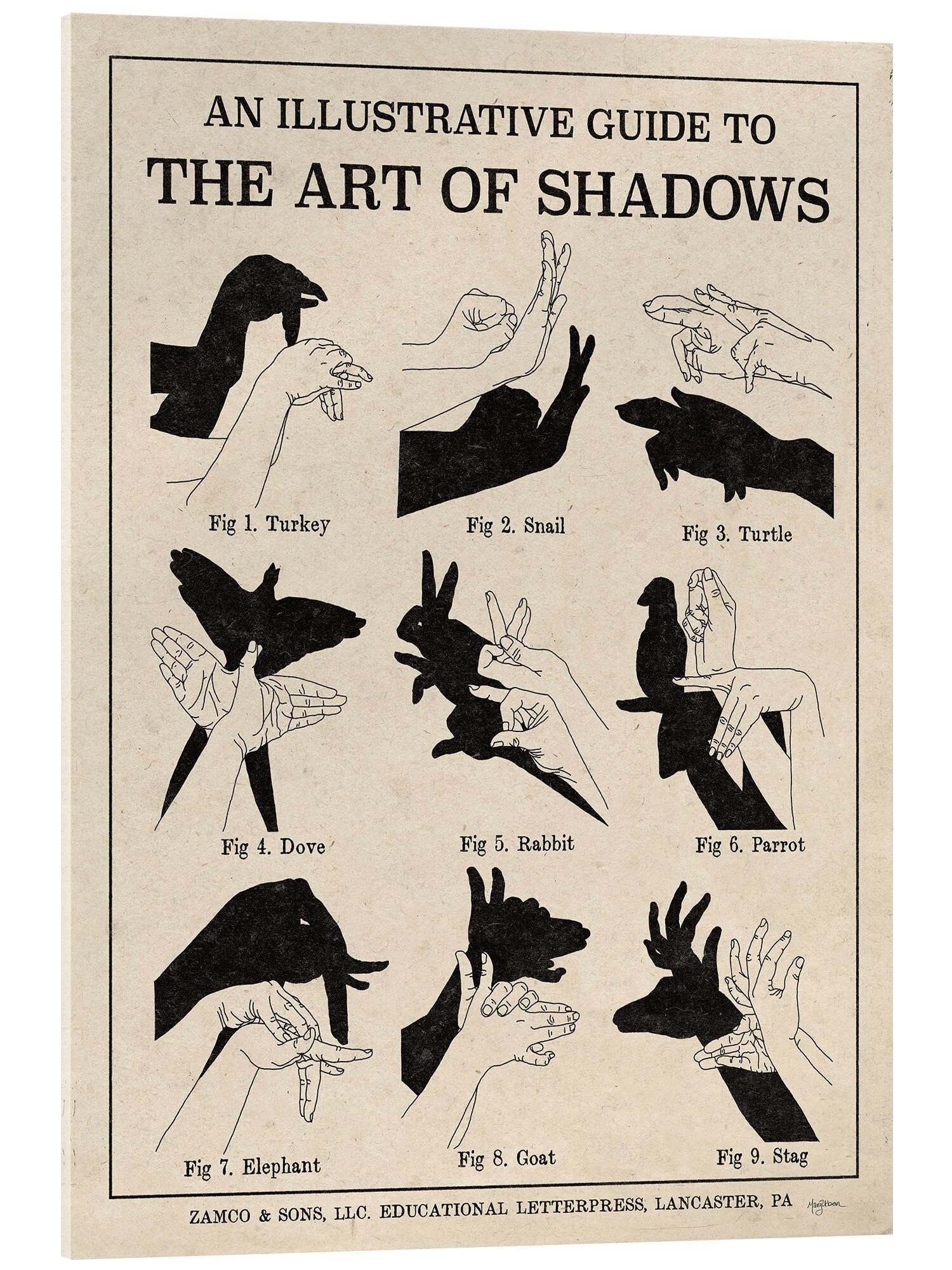 Posterlounge Wandbild Die Kunst der Schattenspiele günstig online kaufen