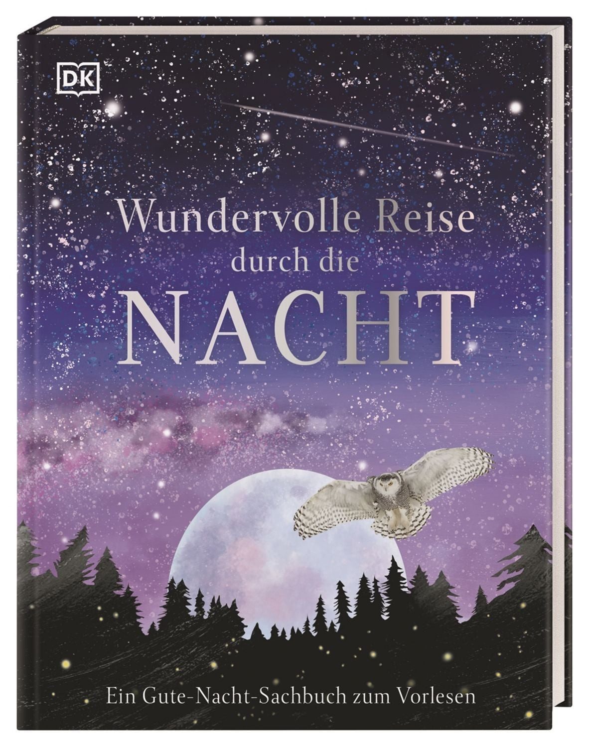 Wundervolle Reise durch die Nacht / Anita Ganeri