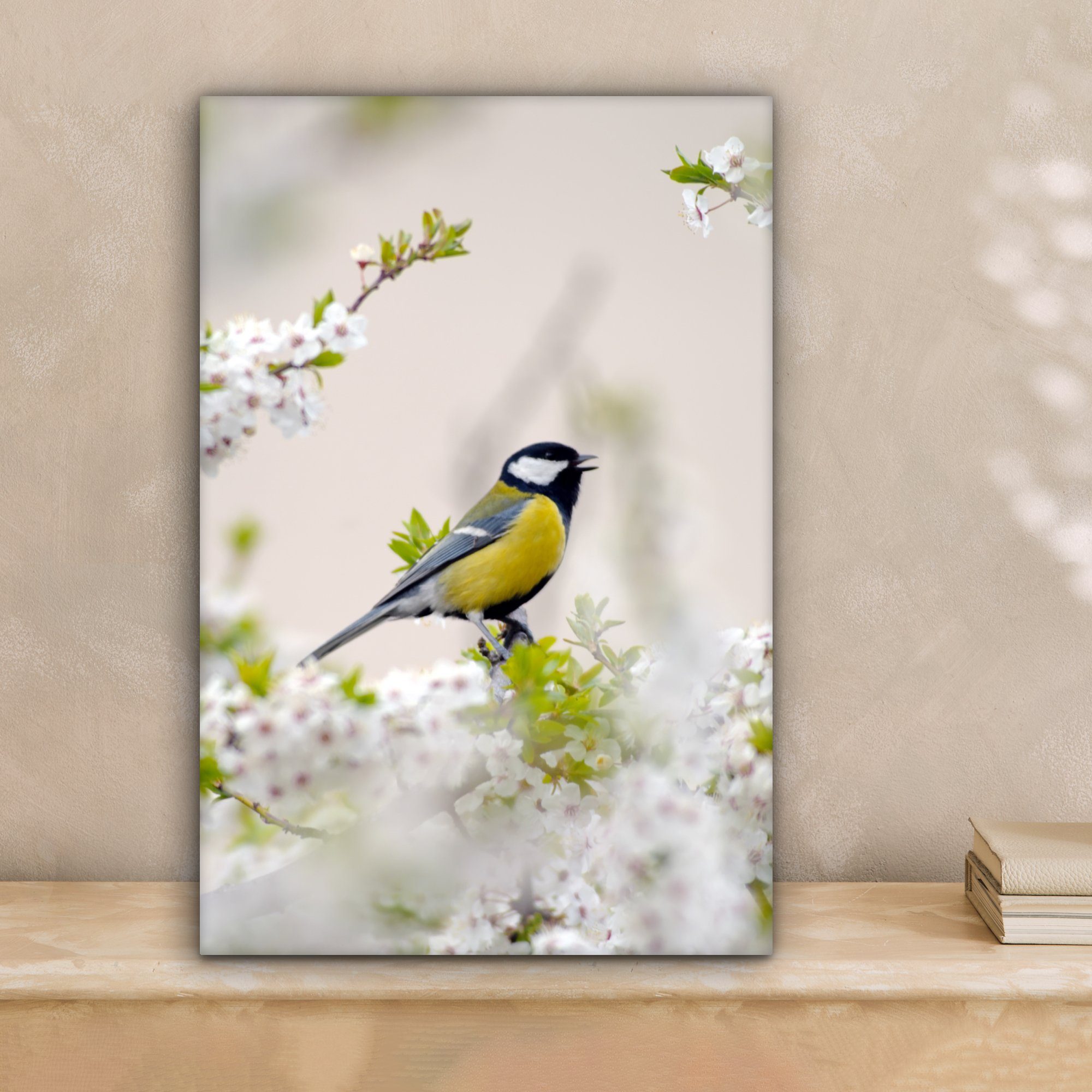 OneMillionCanvasses® Leinwandbild Vogel - Kohlmeise - günstig online kaufen