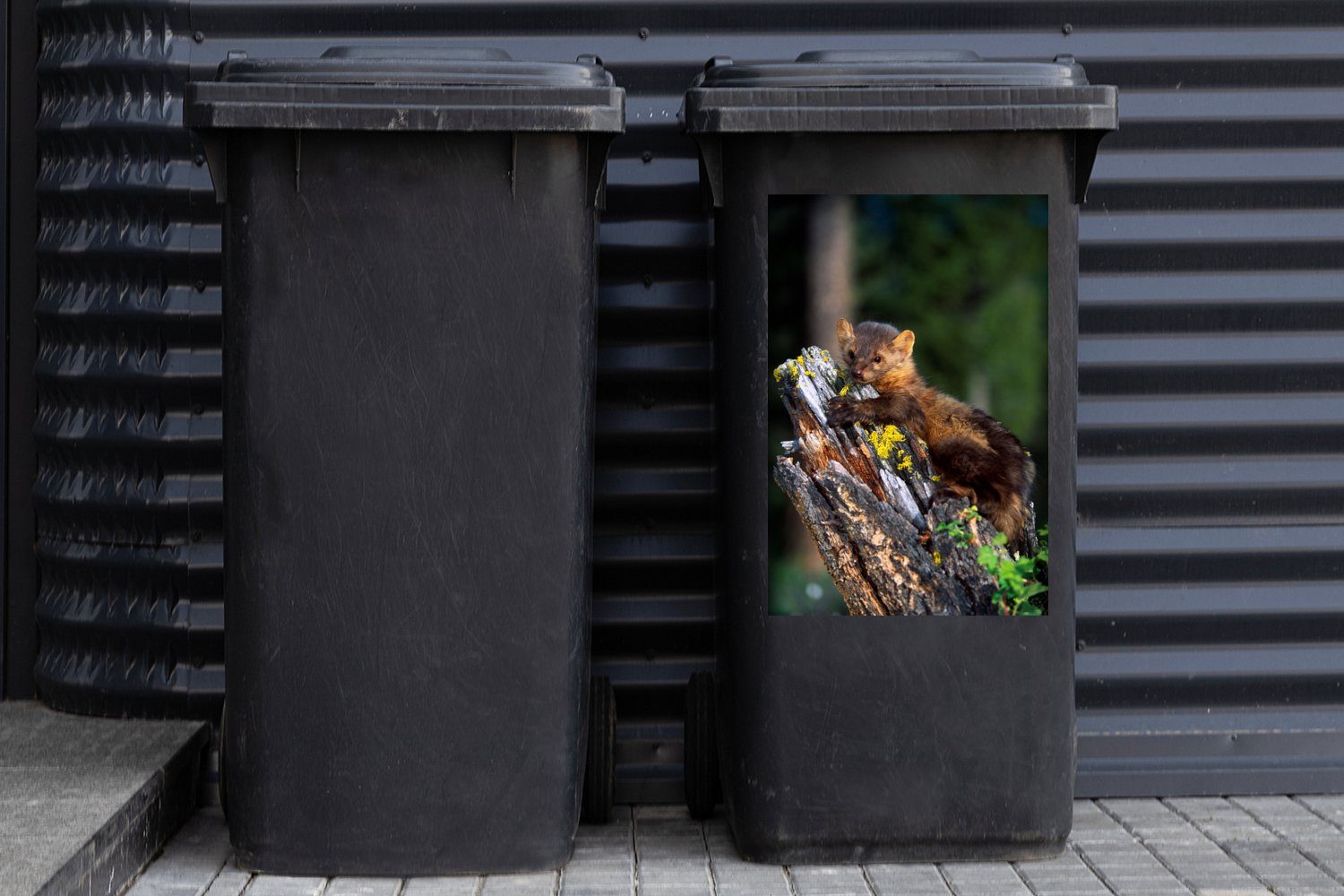 - Wandsticker MuchoWow Mülleimer-aufkleber, (1 St), - Mülltonne, Container, Abfalbehälter Sticker, Baum Marder Wald