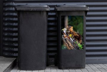 MuchoWow Wandsticker Marder - Baum - Wald (1 St), Mülleimer-aufkleber, Mülltonne, Sticker, Container, Abfalbehälter