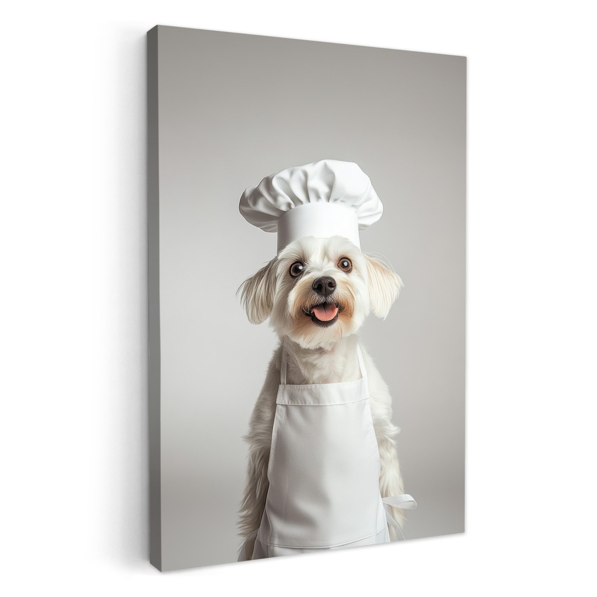 OneMillionCanvasses® Leinwandbild Hund - Weiß - günstig online kaufen