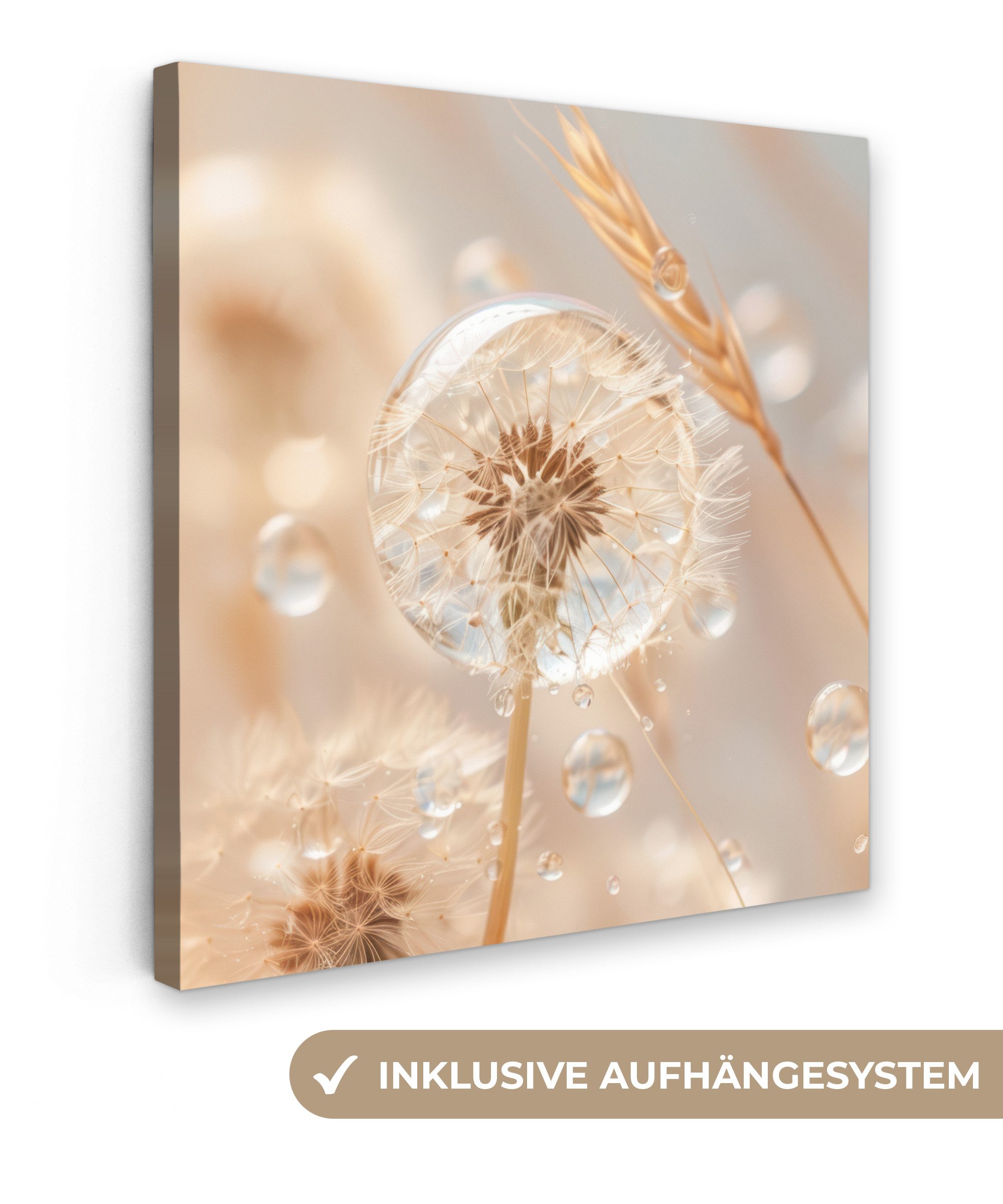 OneMillionCanvasses® Leinwandbild Löwenzahn - Wasser - Natur - Stillleben - günstig online kaufen