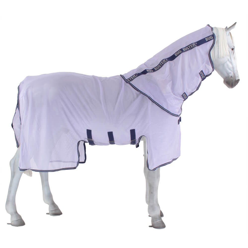 Lavender/Atlantic Blue