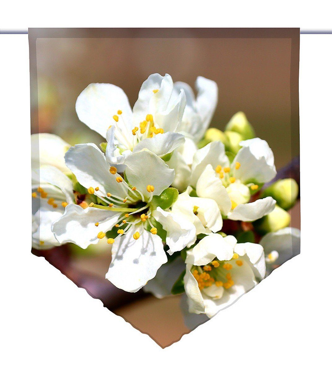 spring, Scheibenhänger, white Voile gardinen-for-life Transparent, Scheibenhänger Scheibengardine spitz