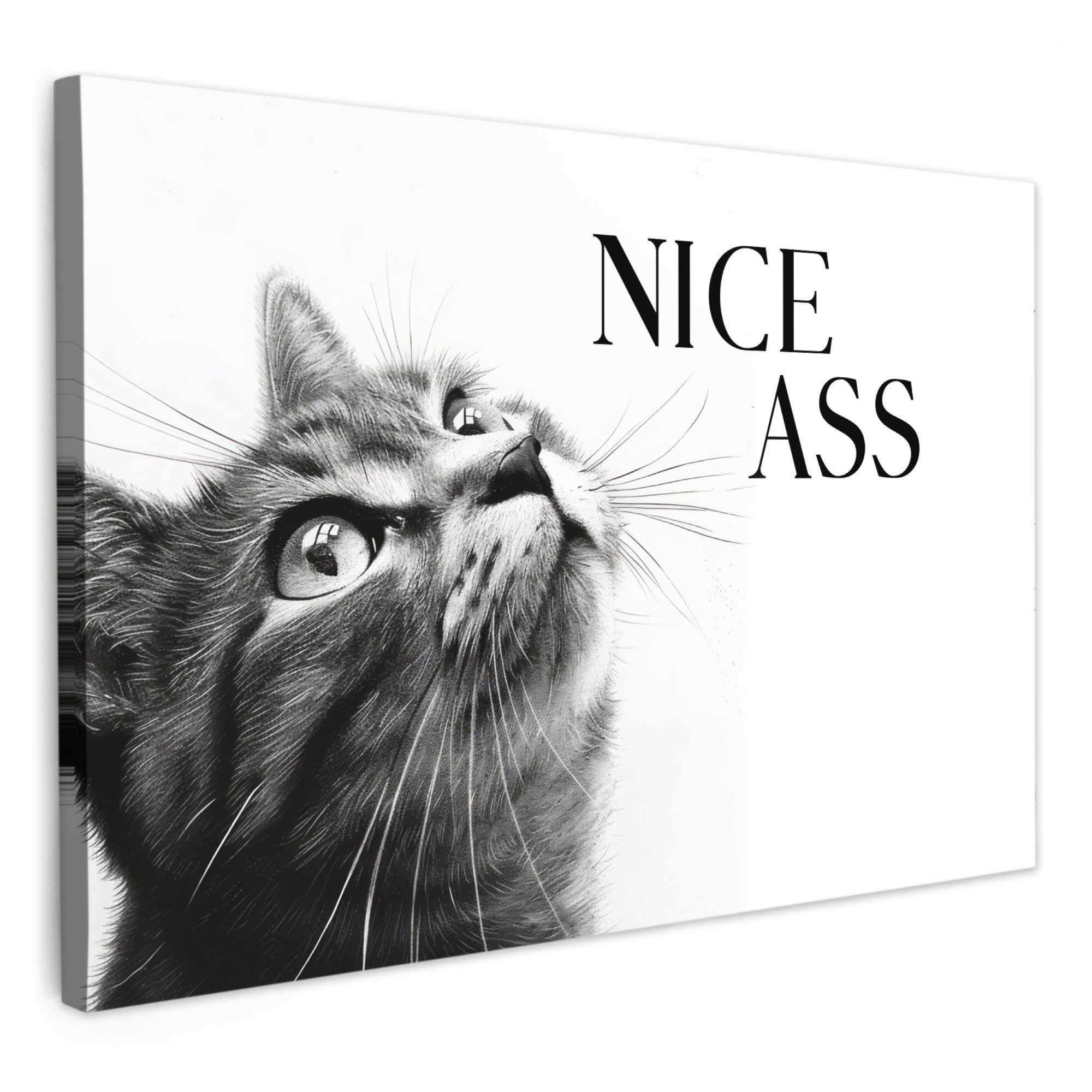 OneMillionCanvasses® Leinwandbild Katze - Nice ass - Zitat - Schwarz Weiß - Sprüche, Fotodruck (1 St), Bilder für Badezimmer, Bad und Toiletten Deko, Bild WC 30x20 cm