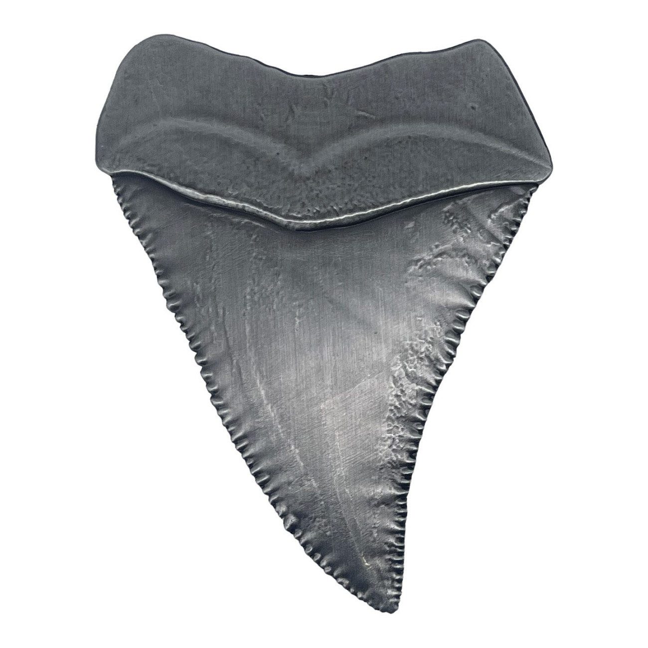 Fanattik Sammelkarte Jaws Medaille 50th Anniversary Shark Tooth