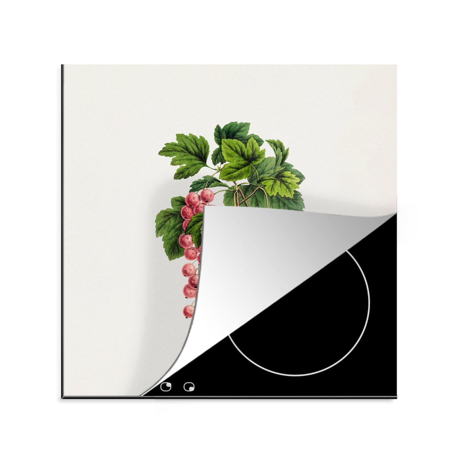 MuchoWow Herdblende-/Abdeckplatte Obst - Weinlese - Beeren, Vinyl, (1 tlg), 78x78 cm, Ceranfeldabdeckung, Arbeitsplatte für küche