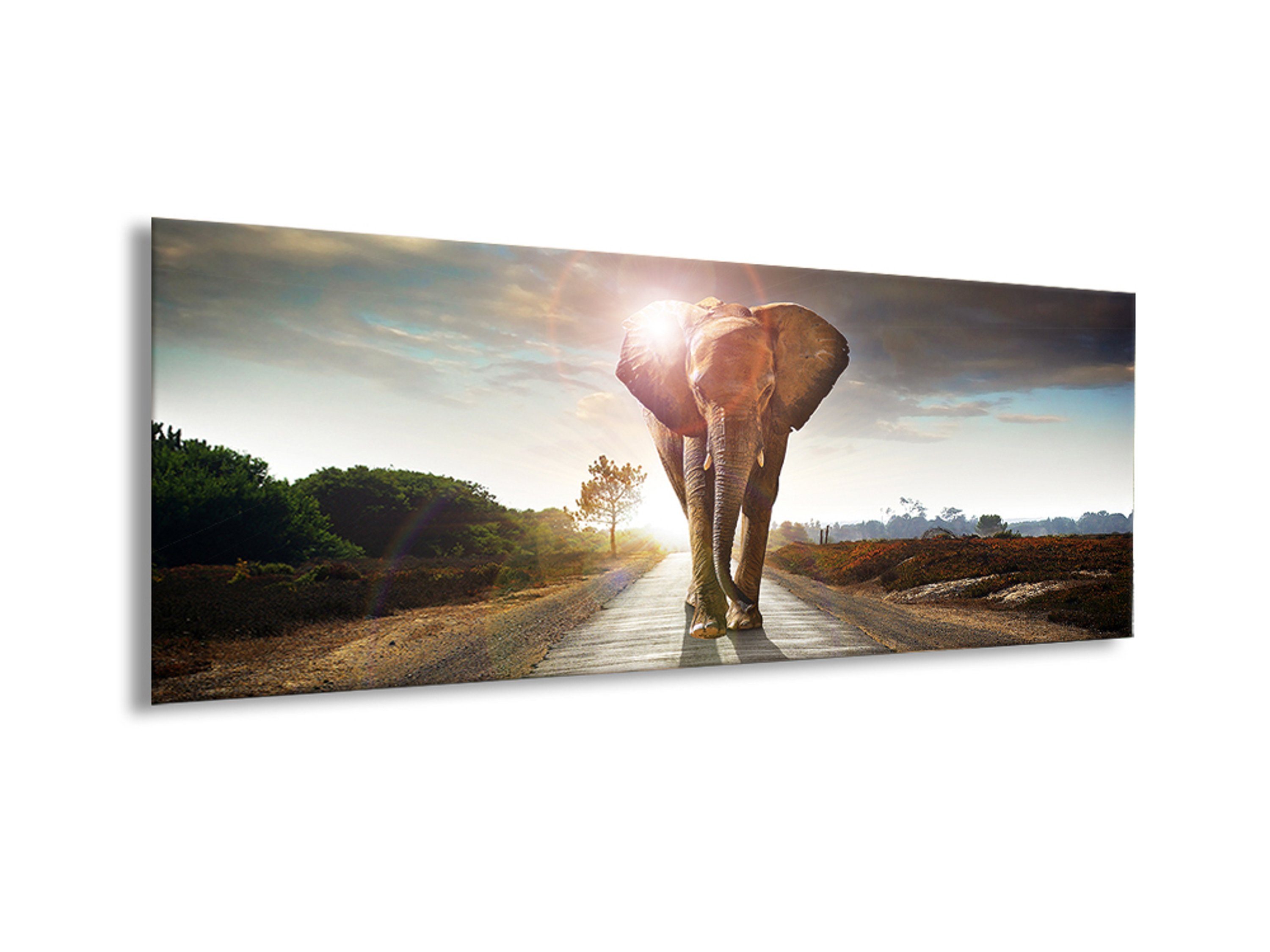 Spaziergang Glasbild 80x30cm Digital-Art: Glas Straße, artissimo Elefant aus Glasbild Bild Wandbild