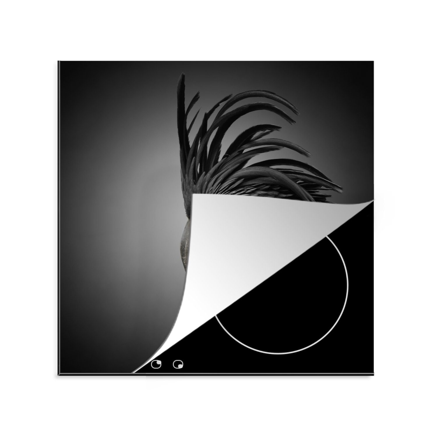 MuchoWow cm, Hintergrund, 78x78 Kakadu Herdblende-/Abdeckplatte mit (1 tlg), Arbeitsplatte dunklem für Vinyl, Schwarzer Ceranfeldabdeckung, küche