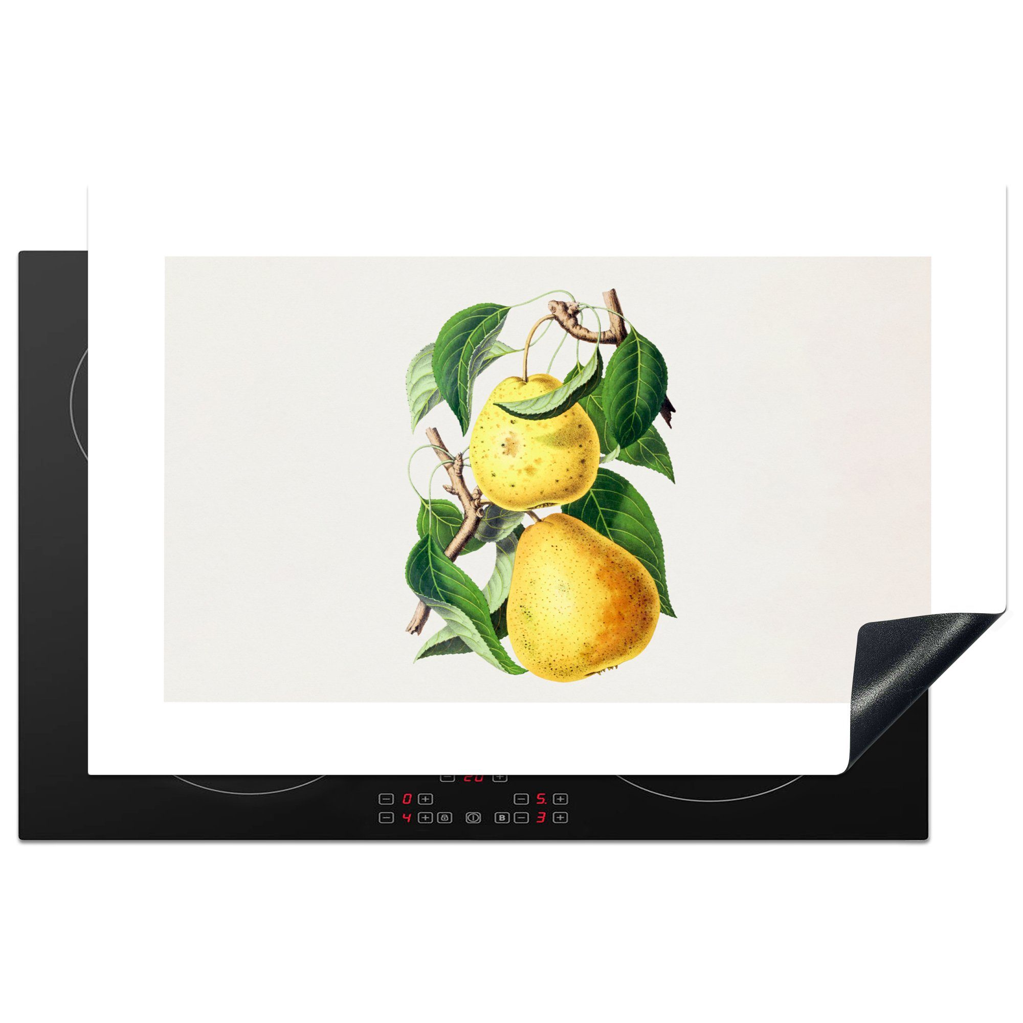 MuchoWow Herdblende-/Abdeckplatte Birnen - Obst - Gesund, Vinyl, (1 tlg), 81x52 cm, Induktionskochfeld Schutz für die küche, Ceranfeldabdeckung