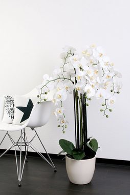 Kunstpflanze XXL Orichdee 110 cm real Touch Blüten, Kunstblumen wie echt Orchidee, Wackadoo Living, Höhe 110 cm
