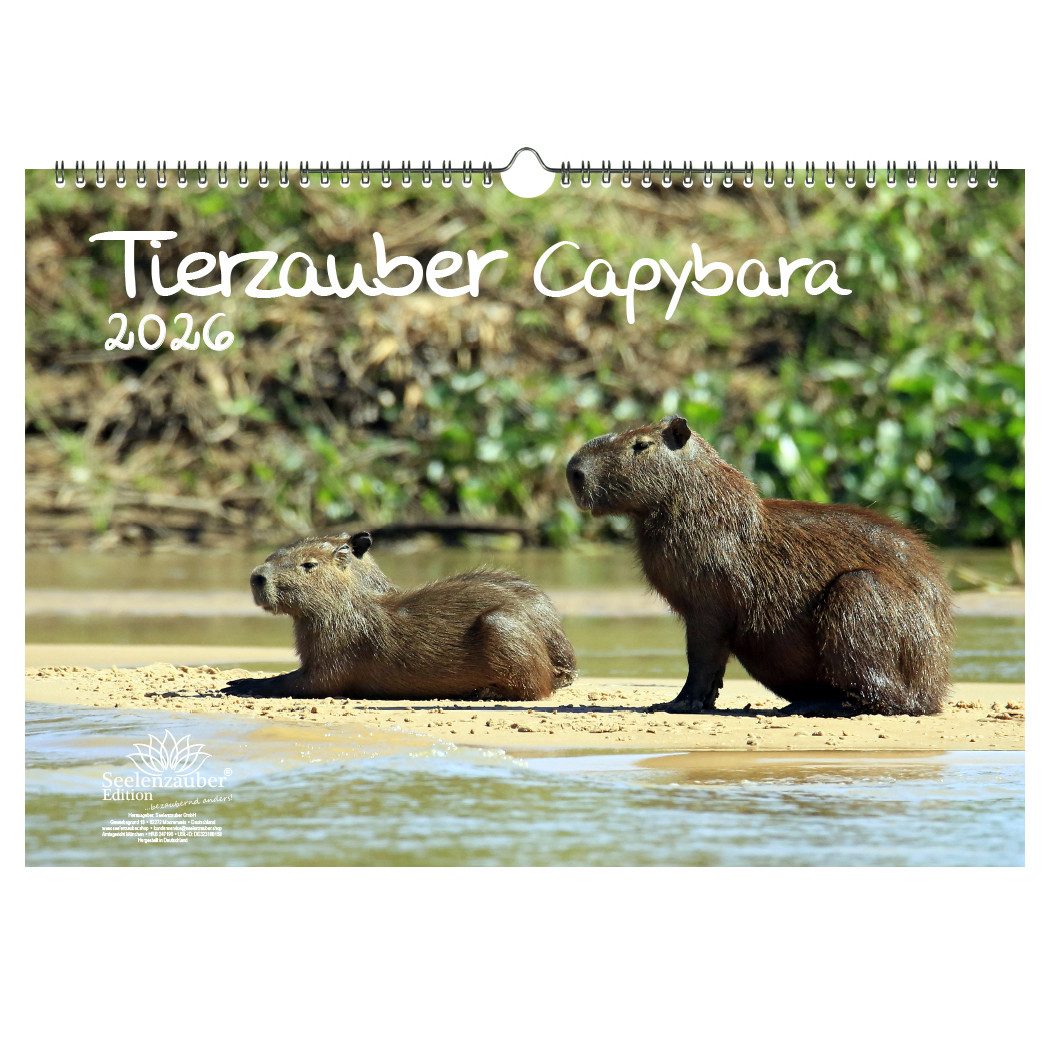 Seelenzauber Wandkalender Tierzauber Capybara DIN A3 Kalender für 2026 Schweine Schweinchen
