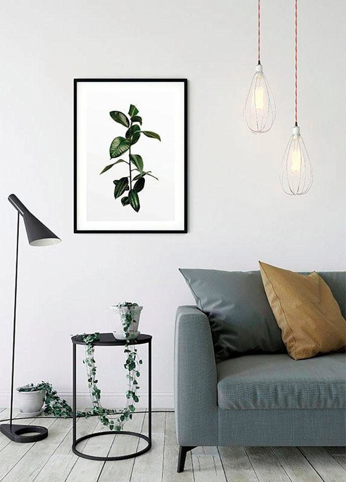 Komar Ficus St), Kinderzimmer, Branch, Pflanzen Poster (1 Schlafzimmer, Wohnzimmer