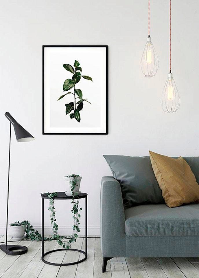 Komar Poster Ficus Branch, Pflanzen (1 St), Kinderzimmer, Schlafzimmer,  Wohnzimmer