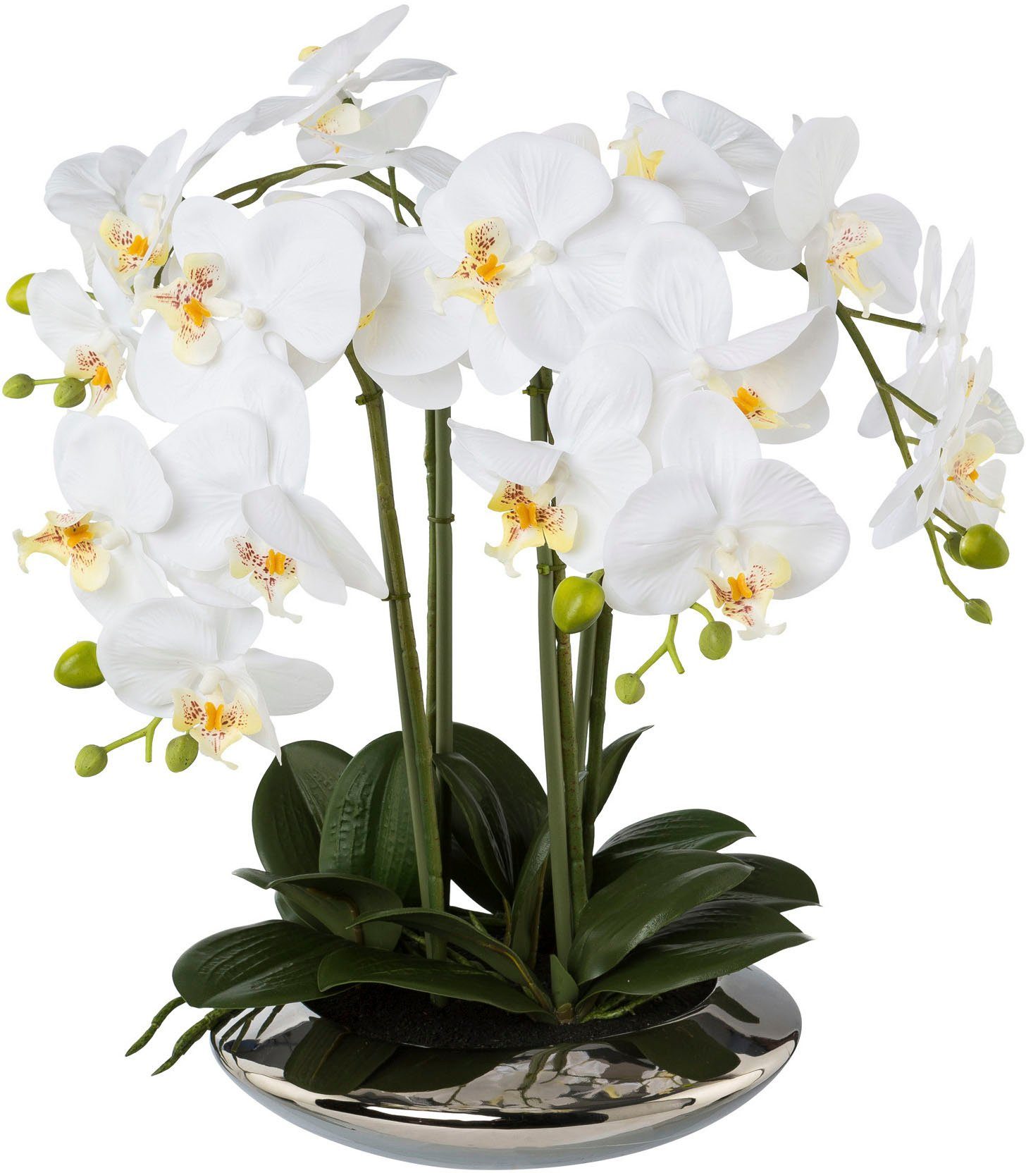 Kunstorchidee Deko-Orchidee Phalaenopsis in Keramikschale Orchidee Phalenop günstig online kaufen