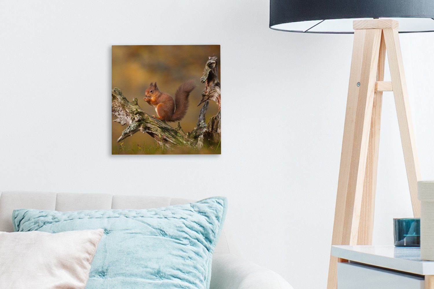 Schlafzimmer Herbst, Leinwand Wohnzimmer Eichhörnchen Bilder Leinwandbild im (1 OneMillionCanvasses® für Rotes St),
