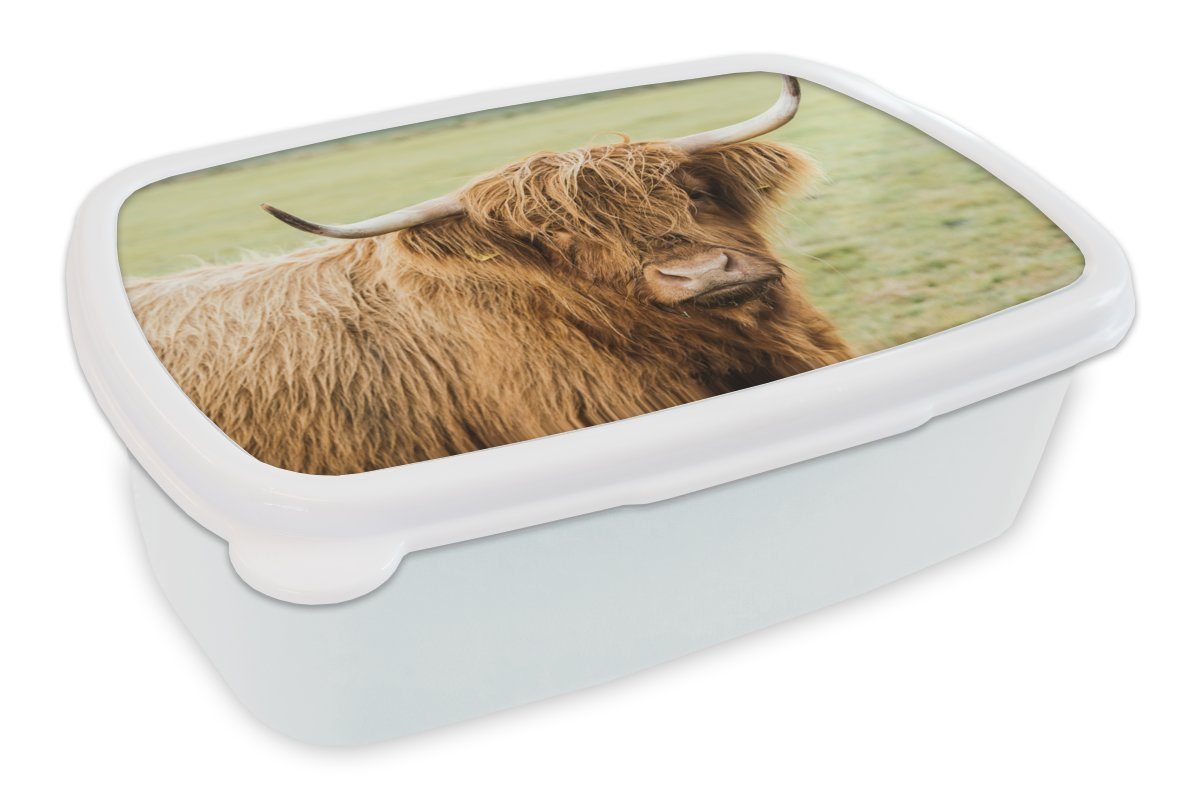 MuchoWow Lunchbox Schottischer Highlander - Horn - Gras, Kunststoff, (2-tlg), Brotbox für Kinder und Erwachsene, Brotdose, für Jungs und Mädchen weiß