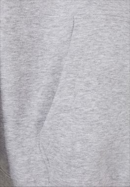 Karl Kani Sweatshirt Karl Kani Männer KKMQ32061GRY Small Signature Hoodie ash grey (1-tlg)