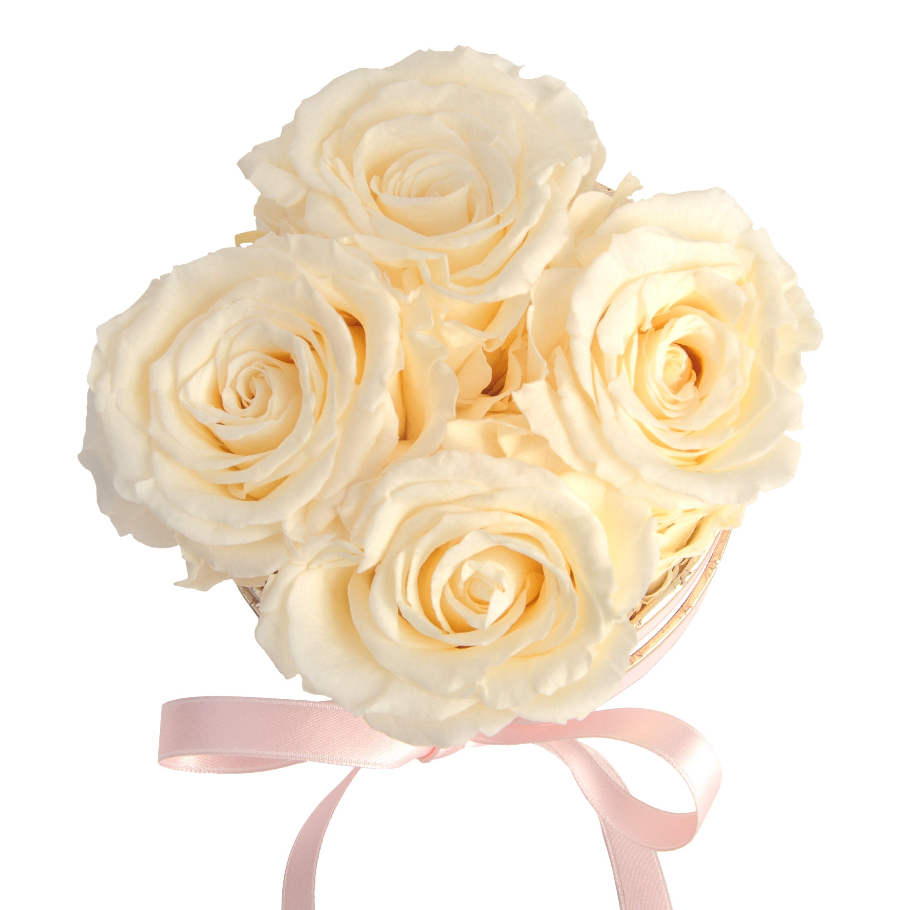 Kunstblume Infinity Rosenbox rosa konservierte Geschenk Heidelberg, Rosen Frauen cm, rund konservierte für Rosen 4 Champagner Rose, 10 Höhe echte ROSEMARIE SCHULZ
