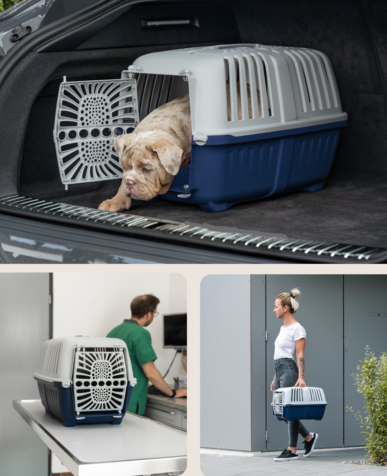 lionto Tiertransportbox für kleine Hunde & Katzen bis 15 kg, optimale Belüftung & Komfort