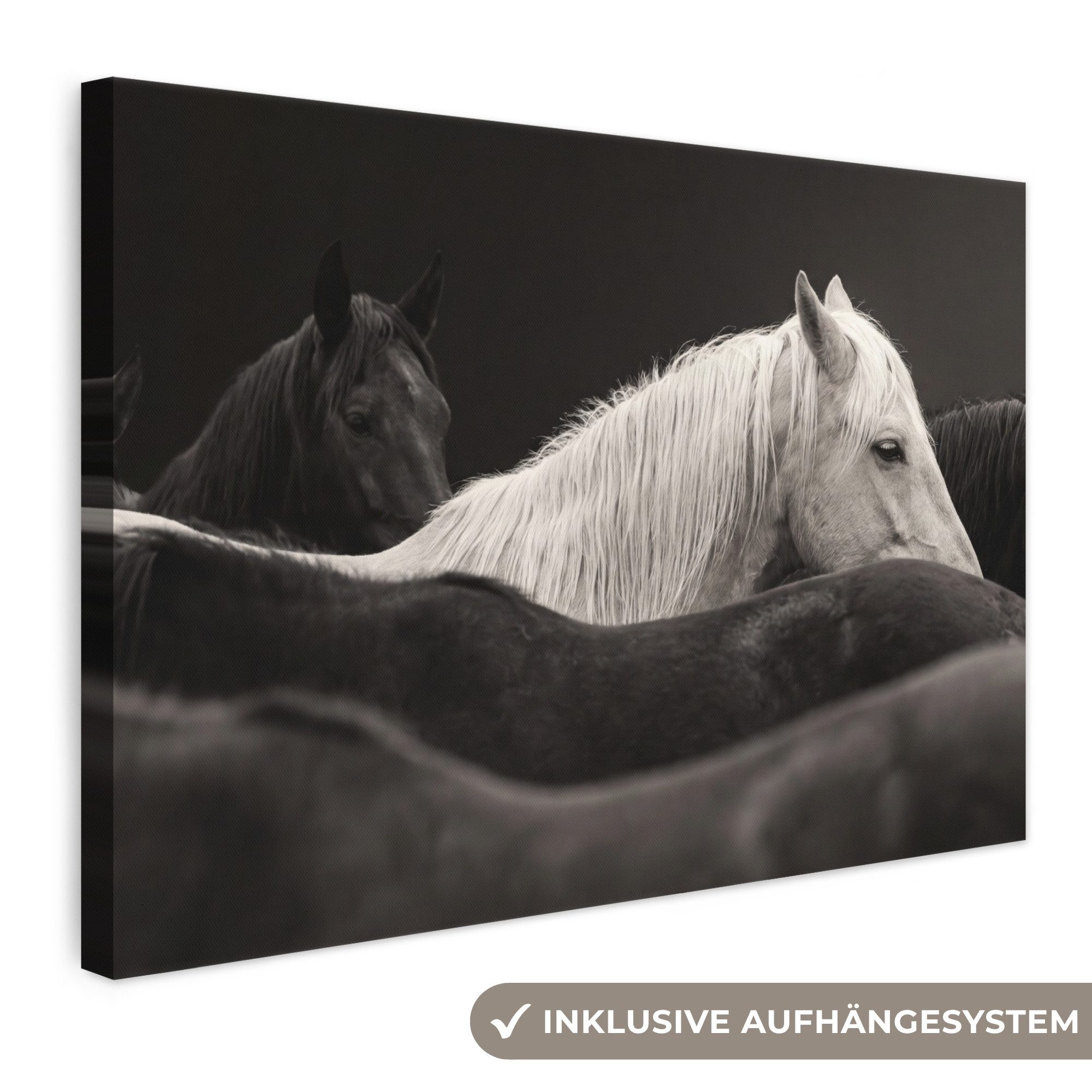 OneMillionCanvasses® Leinwandbild Pferde - Schwarz - Weiß - Herde, Fotodruck (1 St), Leinwand Bilder Klein, Wand Dekoration Aesthetic 30x20 cm
