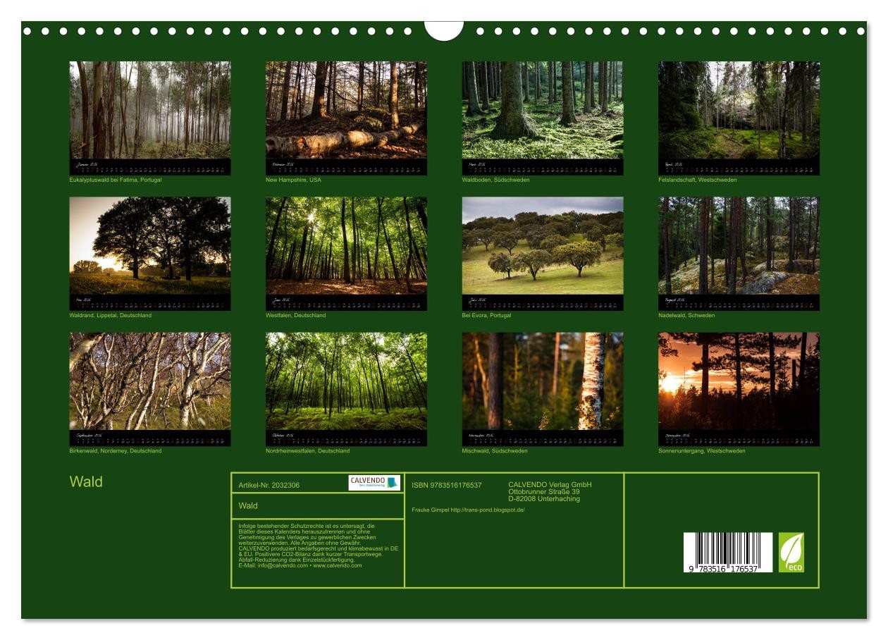 Thumbnail - CALVENDO Wandkalender Wald (Wandkalender 2026 DIN A3 quer), CALVENDO Monatskalender