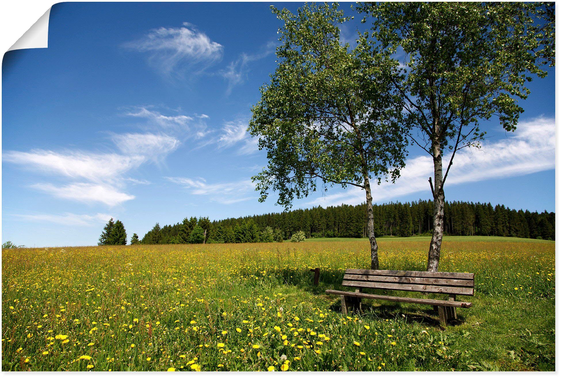 Wandbild als oder Artland Poster in Felder versch. Löwenzahnwiese, Leinwandbild, auf Einsame Wandaufkleber einer Alubild, Größen St), (1 Bank