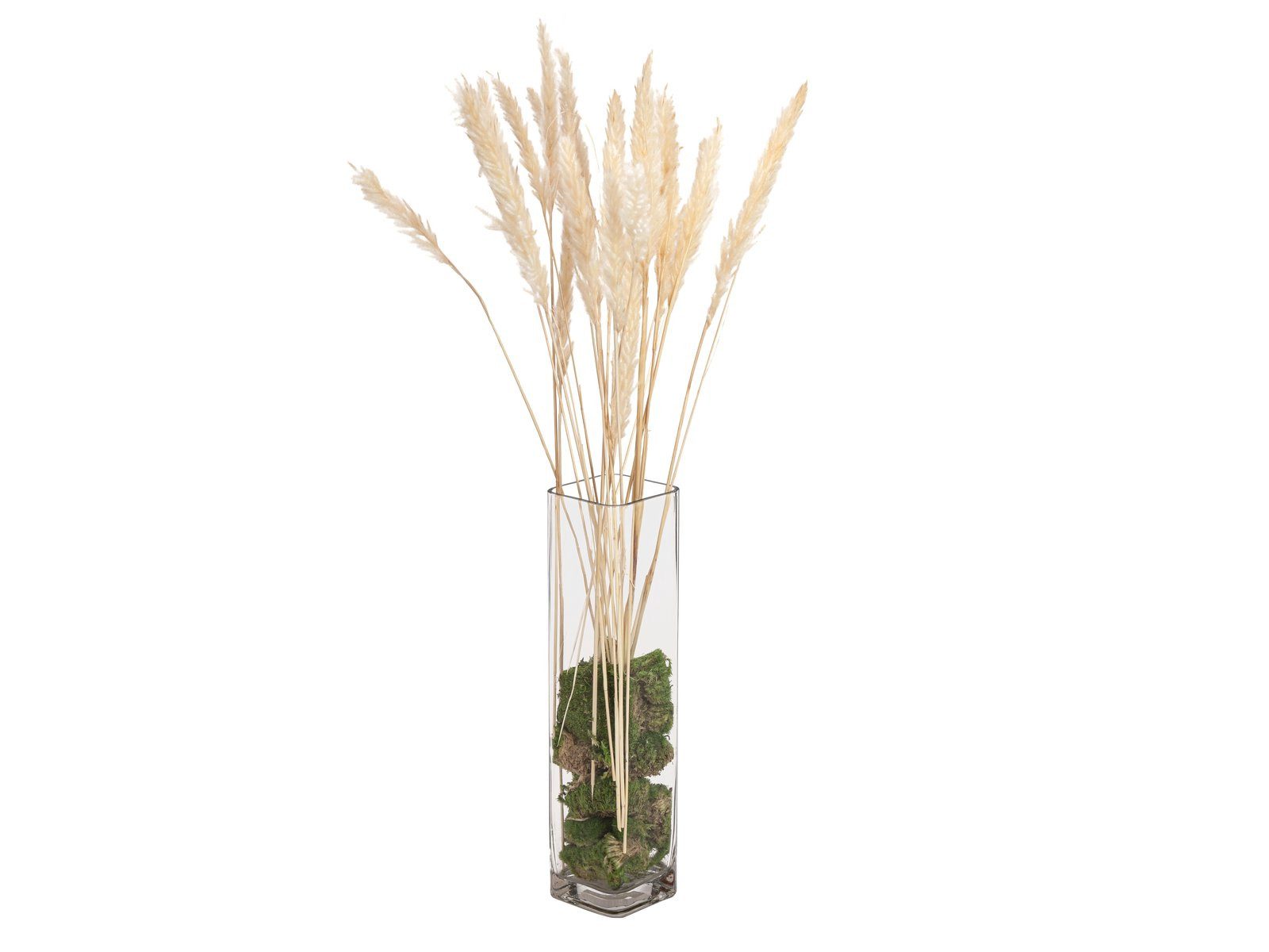 Trockenblume Getrockneter Pampasgras Bund CORNELIO, naturfarben, 75 cm, artplants, Höhe 75.0 cm