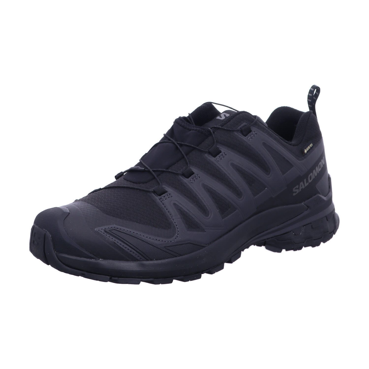 Salomon XA PRO 3D V9 GTX Outdoorschuh