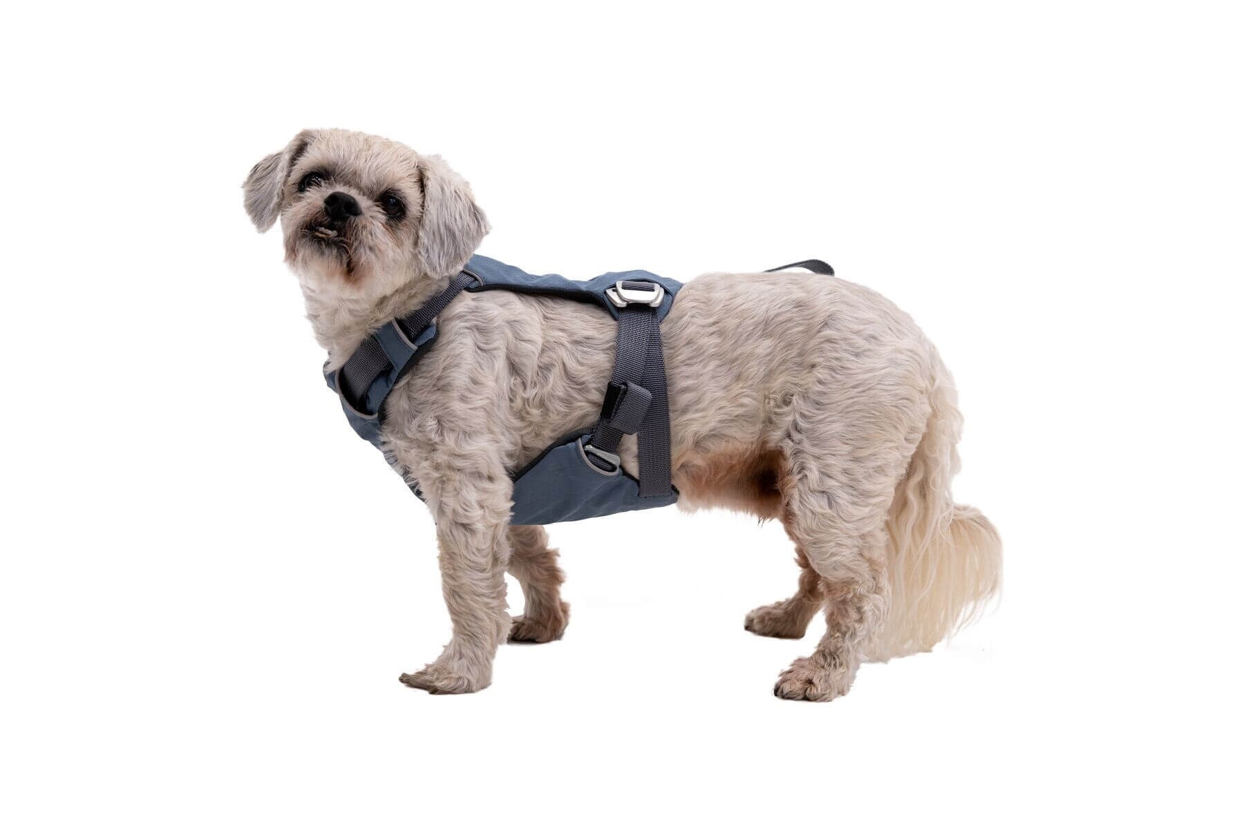 Ruffwear Autohundegeschirr Load Up Harness
