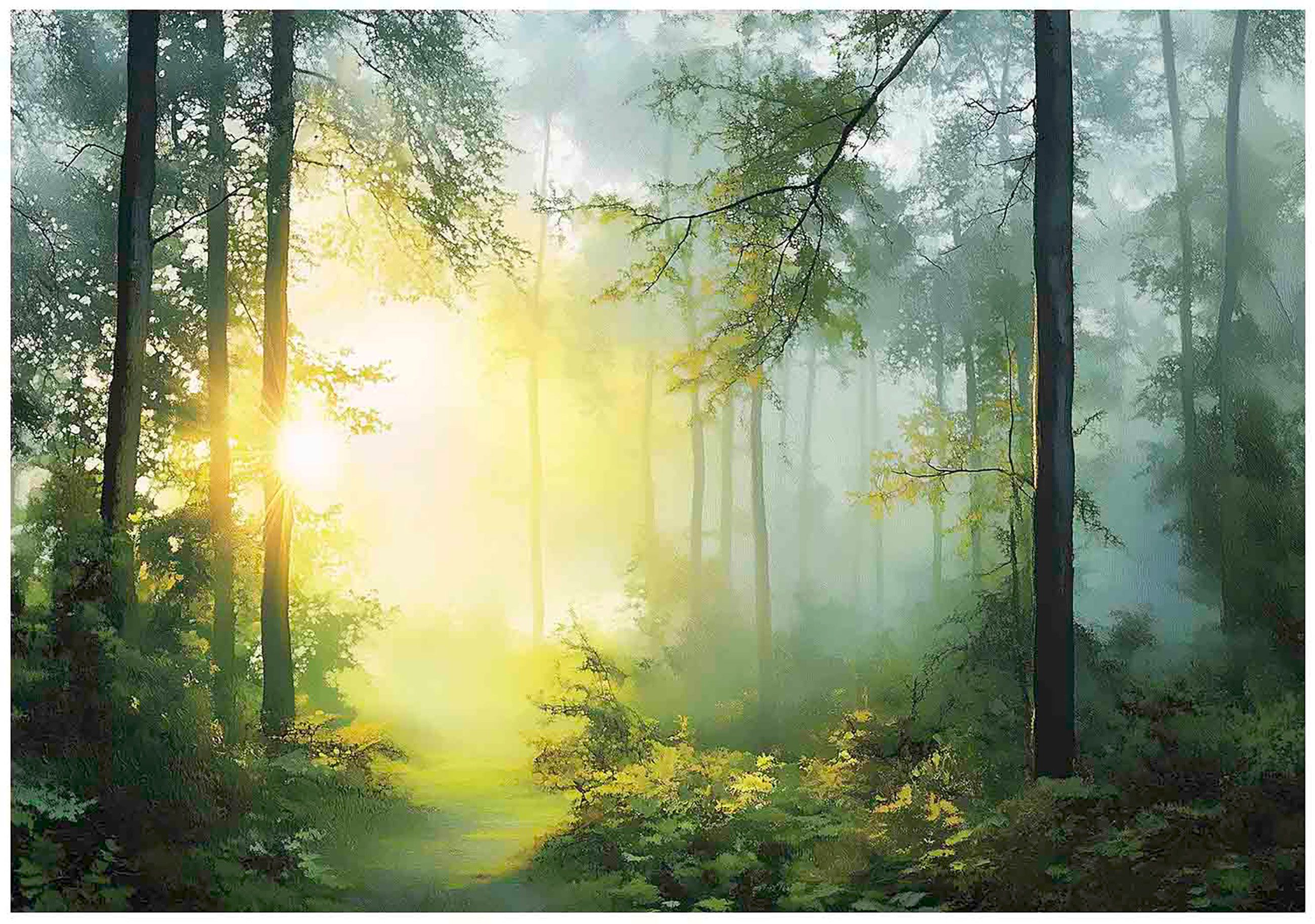 Wallarena Fototapete Wald Sonne Natur Vlies Tapete Wohnzimmer Schlafzimmer Wandtapete, Glatt Vlies Washable, Wald, Sonne, Natur, Grün, (Packung, 2 St., Vlies Fototapete), Vliestapete Natur Grün Wohnzimmer Schlafzimmer Küche Tapete + Kleister