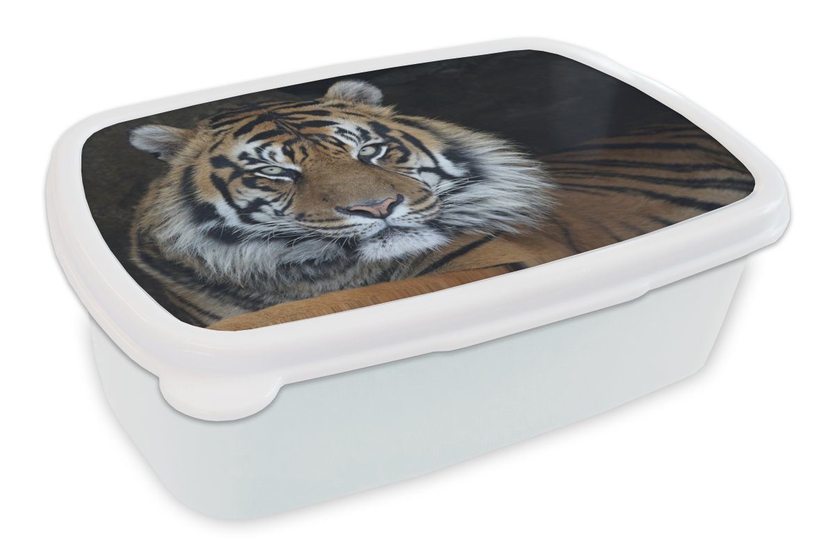 MuchoWow Lunchbox Tiger - - Natur, und Jungs Kunststoff, weiß und für Mädchen Erwachsene, Brotdose, Brotbox Höhle für Kinder (2-tlg)
