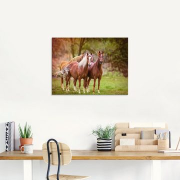 Artland Glasbild Pferde in den Feldern I, Haustiere (1 St), in verschiedenen Größen