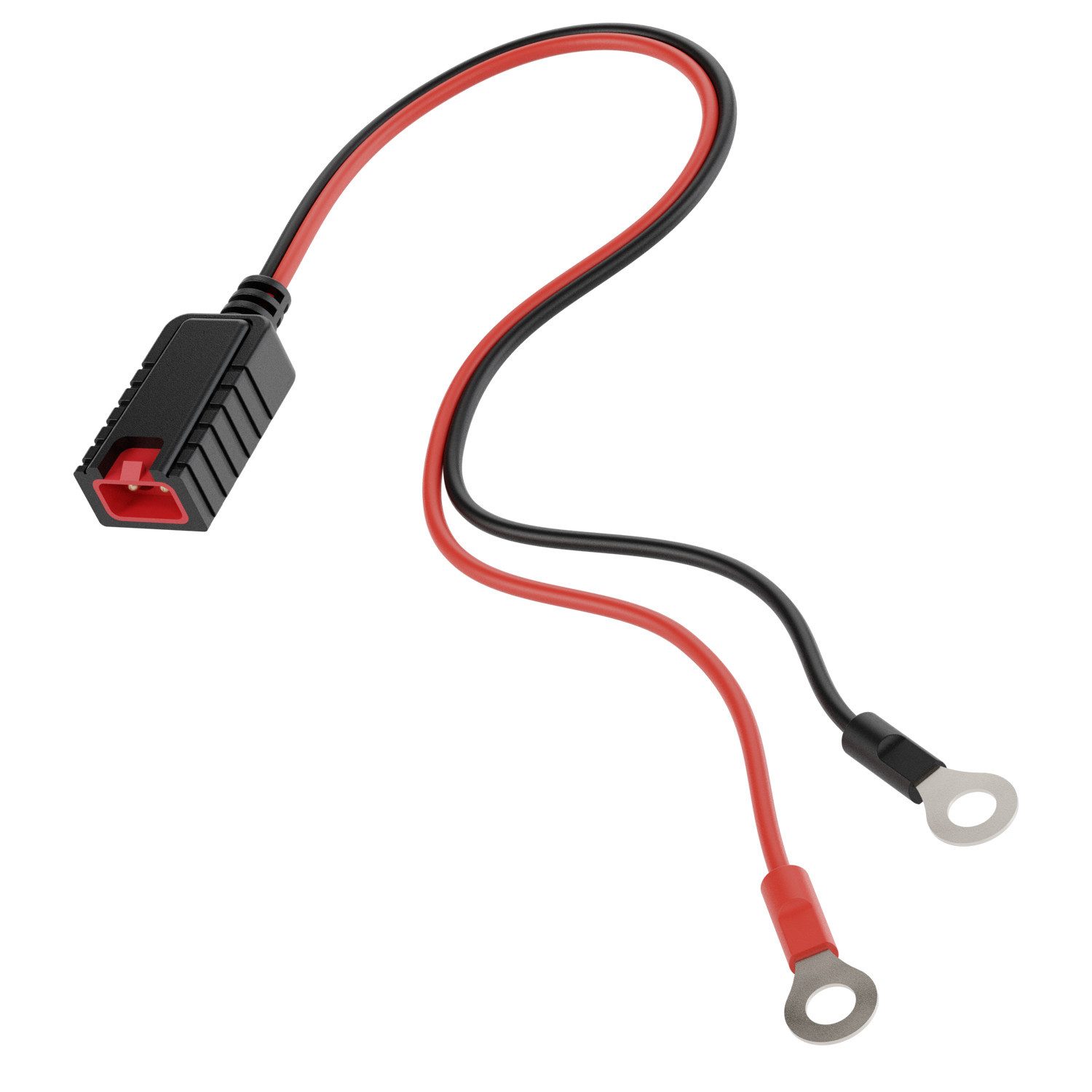 ABSINA ABSINA Batterieanschlusskabel M6 Ringösen Autobatterie-Ladegerät