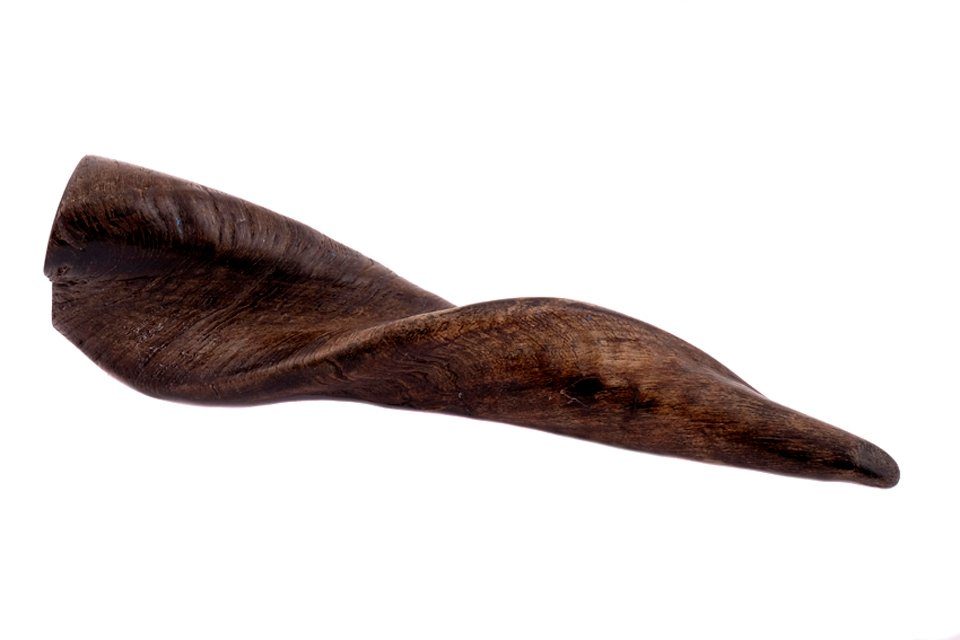 Brillibrum Dekoobjekt 1 kleines Schafhorn dunkel poliert Ziegenhorn Geweih Horn 12-15 cm