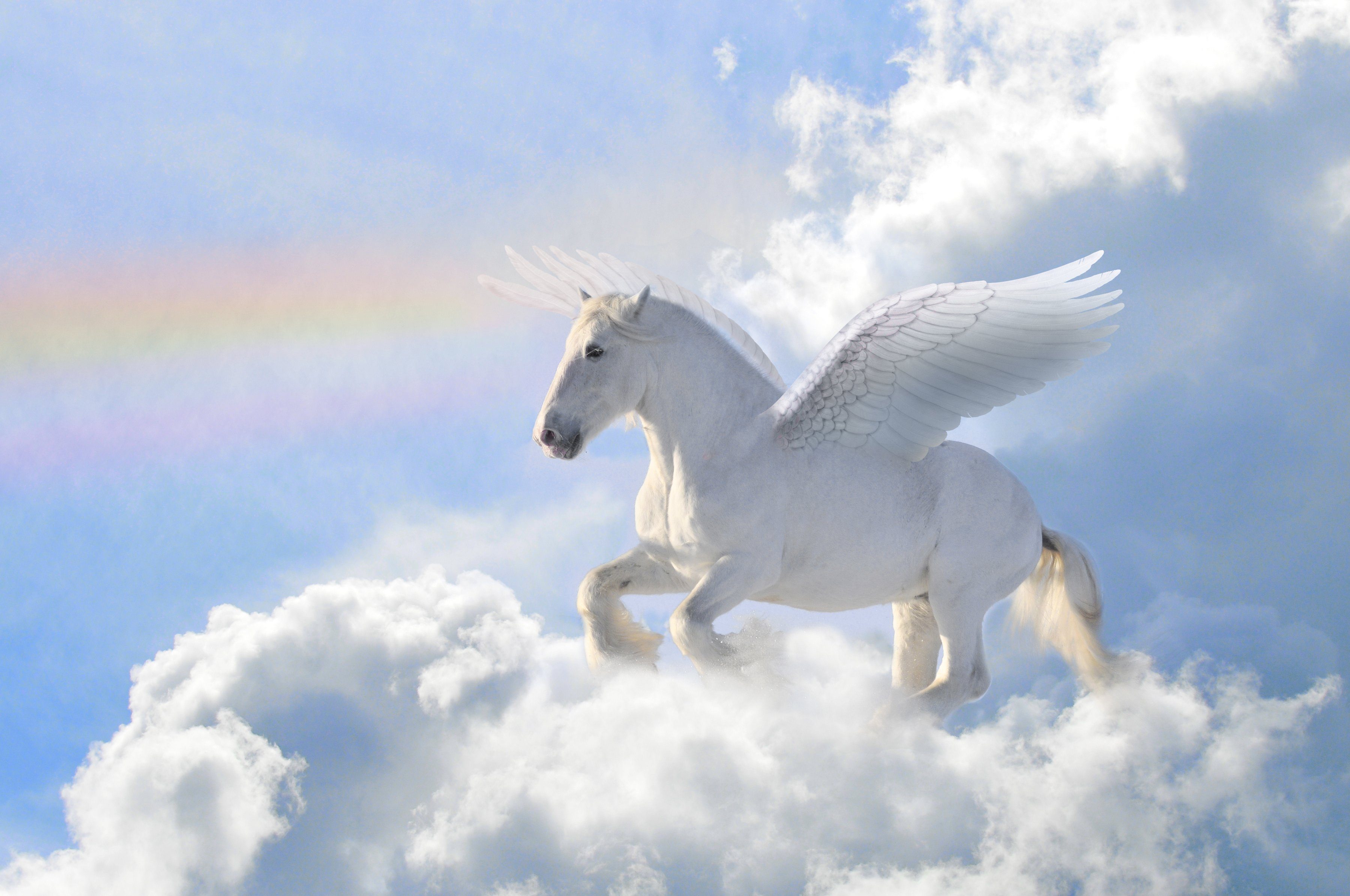 PAPERMOON Fototapete »Pegasus in the Clouds«, Vlies, in ...